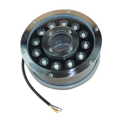 LED Underpool Light 12W DC 24V 960lm 6000K IP68 60°-Wholesale Price of LED Underpool Light 12W DC 24V 960lm 6000K IP68 60°